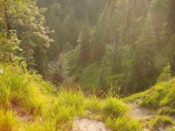 2013-07-20_Regina-F-Rau_Kochel-Rabenkopf (479).JPG